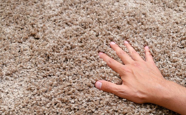 Hand on carpet